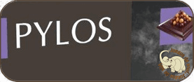 imagen Captcha correspondiente a pylos